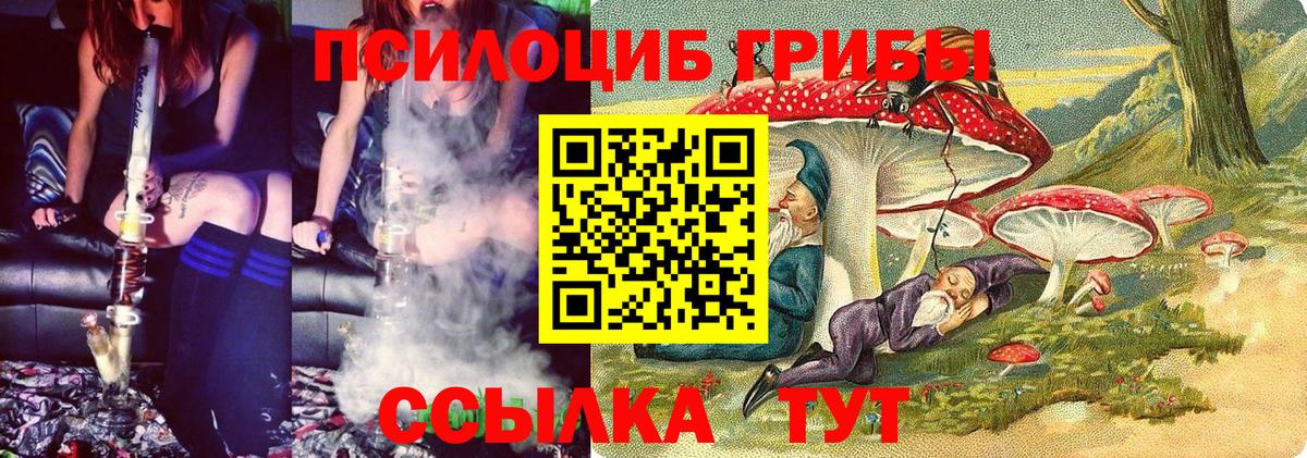 Псилоцибиновые грибы GOLDEN TEACHER Кандалакша