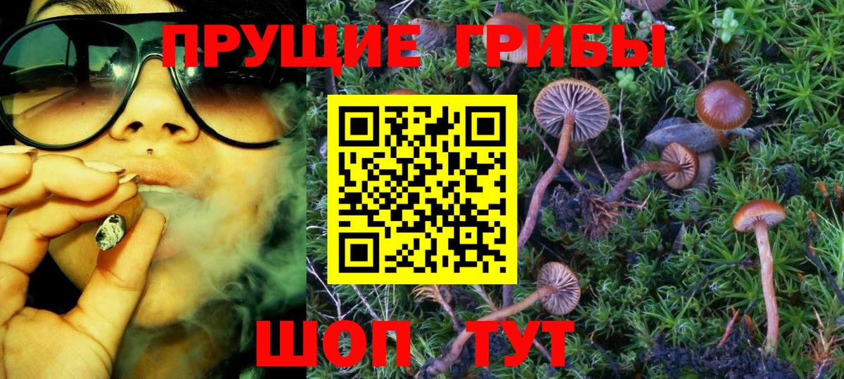Кандалакша  Галлюциногенные грибы GOLDEN TEACHER  Вход с VPN 